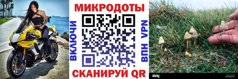 Купить закладки  Судак  Псилоцибиновые грибы Magic Shrooms 