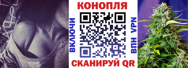 Конопля OG Kush  Купить закладки  Судак 